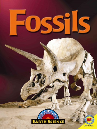 Fossils / Megan Lappi.