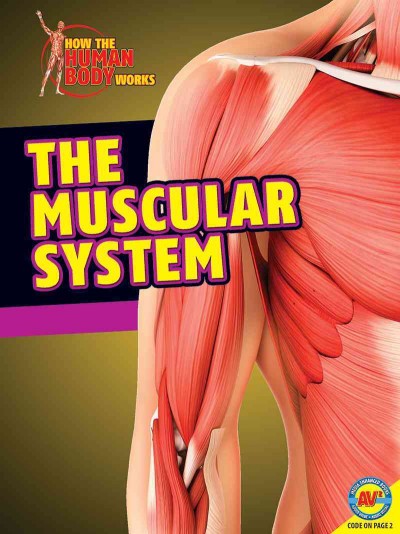 The muscular system / by Simon Rose.