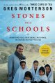 Go to record Stones into schools : promoting peace with books, not bomb...