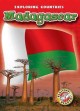 Go to record Madagascar