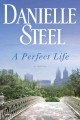 A perfect life  Cover Image