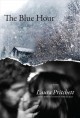 The blue hour : a novel  Cover Image